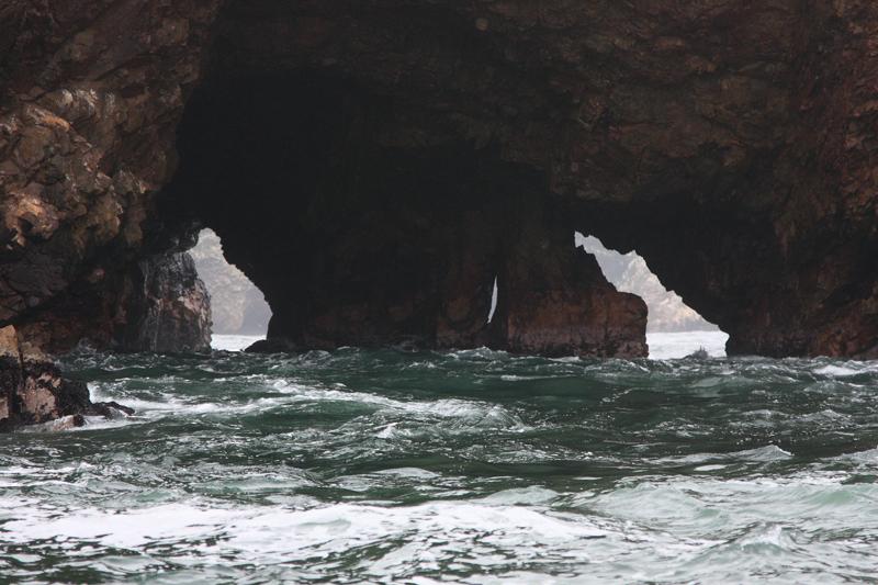 1152-Isole Ballestas,19 luglio 2013.JPG